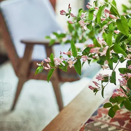 Bauernhof Folwark Bilsken